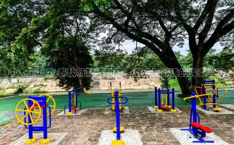 飞速直播体育