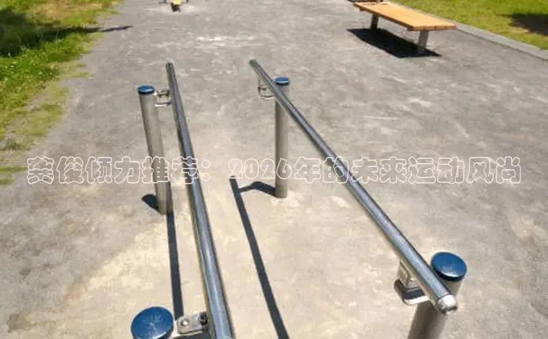 飞速体育直播